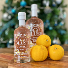 Load image into Gallery viewer, Blush Citrus Gin 250ml
